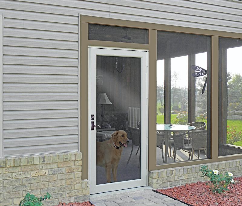 Dog Standing Near New Entry Door in Chapel Hill, NC